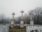 IMG_20230115_095249