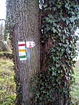 Irányban