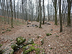 20161218-5394