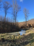 IMG_8408