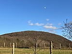 IMG_8421