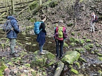 IMG_8423