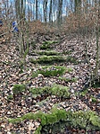 IMG_8427