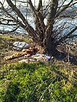 IMG_20230107_135725