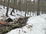Őzbereki-forrás