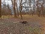 IMG_20221231_130418