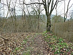 Országház-kőfejtő (Sóskút aranya)-1
