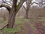 Országház-kőfejtő (Sóskút aranya)-8