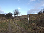 Csákányospusztai templomrom-3