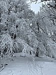 A5890223-24B1-4B21-9C74-51A7CA029E83