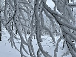 57B62A0F-0387-4E80-8375-E860D6C3C529