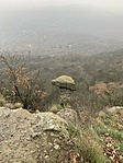 IMG_4090