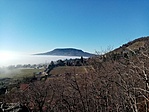 IMG_20230104_114846