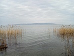IMG_20230103_120522