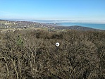 IMG_20230104_114258