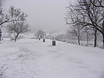 283_8090