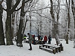 20230129_104310[1]
