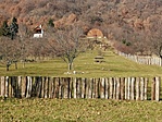 Távolból