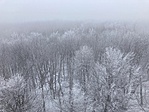 IMG_8382