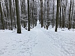 IMG_8387
