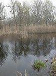IMG_20220402_150514_1