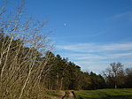 DSC07264