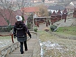 IMG_20230127_121820245_MFNR