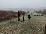 IMG_20230127_125307783_MFNR