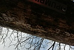 IMG_20230129_124543