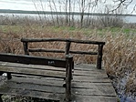 IMG_20230129_124553