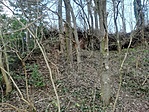IMG_20230129_124616