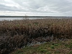 IMG_20230129_124646