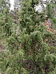 IMG_20230128_143834