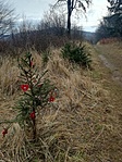 IMG_20230105_121650