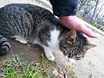 IMG_20230103_145558