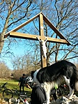 IMG_20230107_124859