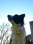 IMG_20230107_124922