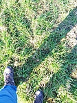 IMG_20230114_121016