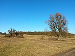 IMG_20230114_123305
