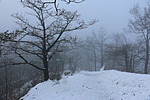 IMG_4751