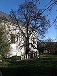 P1068320