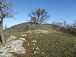 P1068349