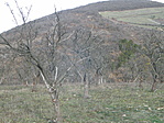 P1068358