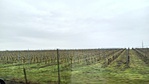 IMG_20230124_085606