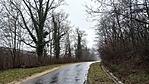 IMG_20230124_085352