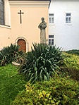 IMG_6440