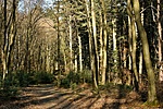 HER_3926_DxO_tn1