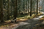 HER_3953_DxO_tn1