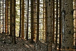 HER_3996_DxO_tn1