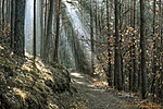 HER_3898_DxO_tn1